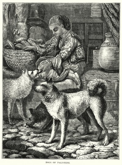 Dogs of Palestine (rytina) od English School