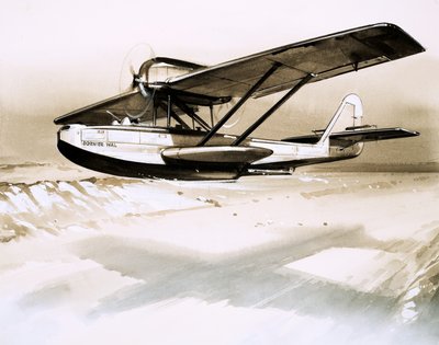 Dornier Wal, dvoumotorový německý létající člun od English School