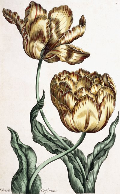 Double Oriflamme, 1759 od English School