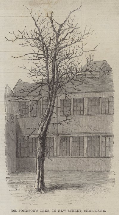 Závěsný od English School