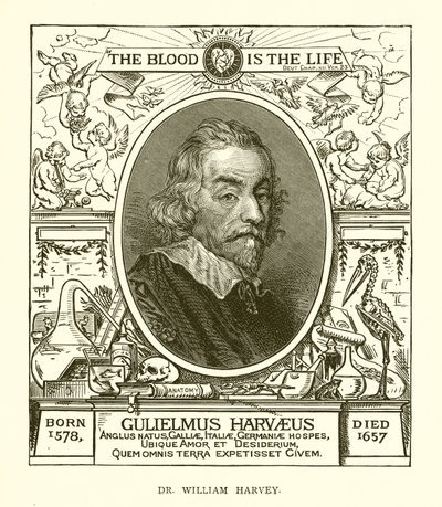 Dr. William Harvey od English School