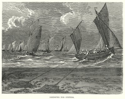 Bagrování ústřic (rytina) od English School