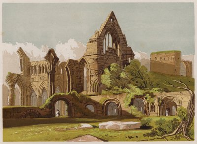 Dryburgh Abbey (barevné lito) od English School