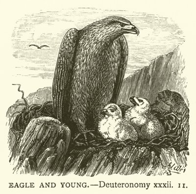 Eagle and Young, Deuteronomium, xxxii od English School
