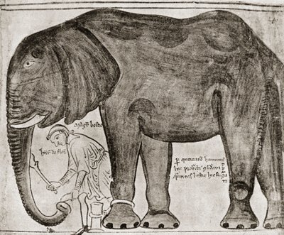 Slon poslaný svatým Ludvíkem Jindřichovi III., z knihy "Historia Major", reprodukované v "English Historians". od English School