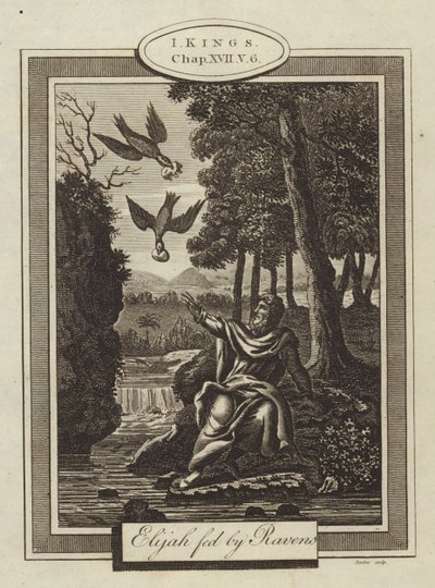 Eliáš krmený havrany, já králové, kapitola XVII, verš 6 (rytina) od English School