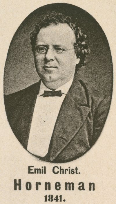 Emil Christian Horneman (hlubotisk) od English School