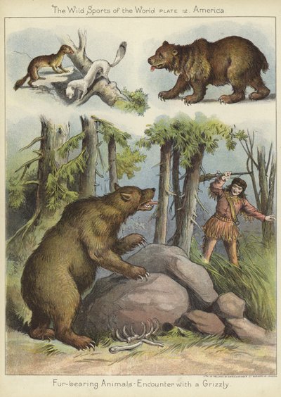 Setkání s grizzlym od English School