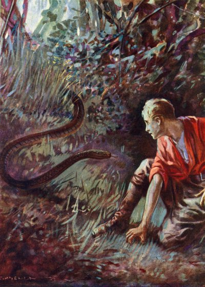 Setkání s hadem v džungli (barva litho) od English School