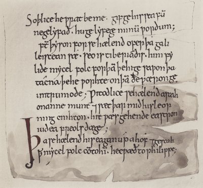 Angličtina, anglosaský jazyk (litografie) od English School