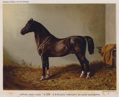 Celý Pony Hack "Don Carlos", majetek lorda Calthorpea (barevně lito) od English School
