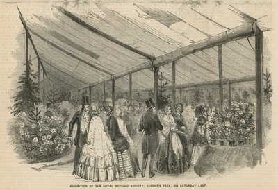 Výstava Královské botanické společnosti od English School
