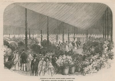 Výstava Královské botanické společnosti od English School