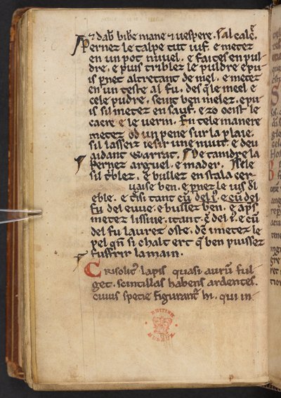 Výňatky z Historia Anglorum Jindřicha z Huntingdonu, Cotton MS Titus D XXIV, f.132v (pergamen) od English School