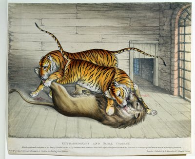 Mimořádný a fatální boj, 1830 (barevné lito) od English School
