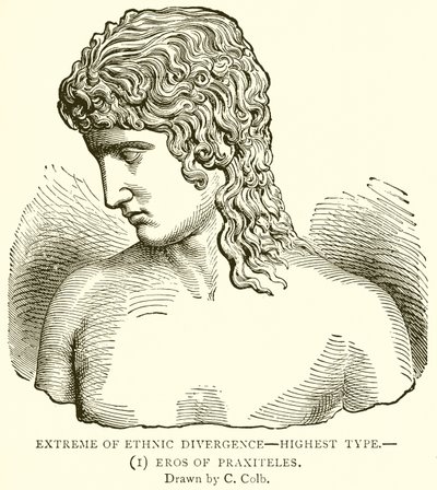 Extrém etnické divergence--nejvyšší typ.--(1) Eros of Praxiteles od English School