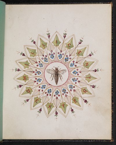 F.1: Hmyz v designu. Kniha skic se scénami z příběhů Charlese Dickense (akvarel na papíře) od English School