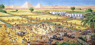 Zemědělství v Egyptě od English School