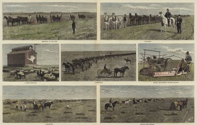 Farmaření na pláních Severní Ameriky od English School