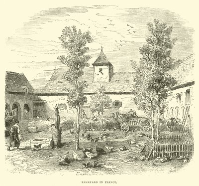 Farmářský dvůr ve Francii od English School