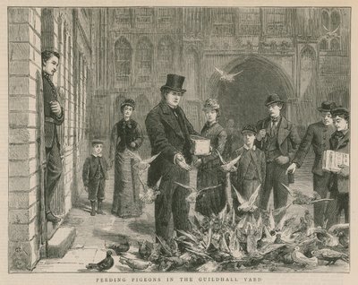Krmení holubů na dvoře Guildhall od English School