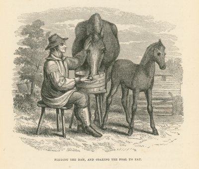 Krmení matky a přemlouvání hříběte k jídlu (rytina) od English School