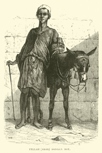 Fellah, Arab; oslí chlapec od English School