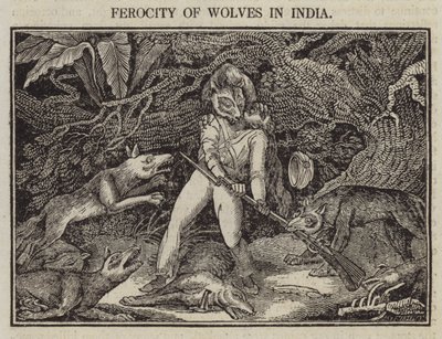 Ferocity of Wolves in India (rytina) od English School