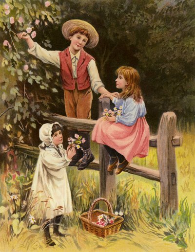 Polní květiny (barevná litografie) od English School