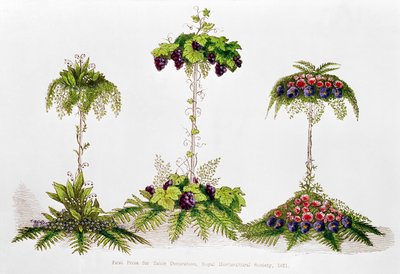 První cena za stolní dekorace, Royal Horticultural Society, 1851 od English School