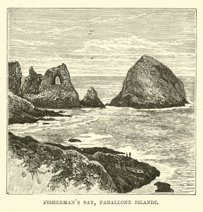 Fishermans Bay, Farallonské ostrovy od English School