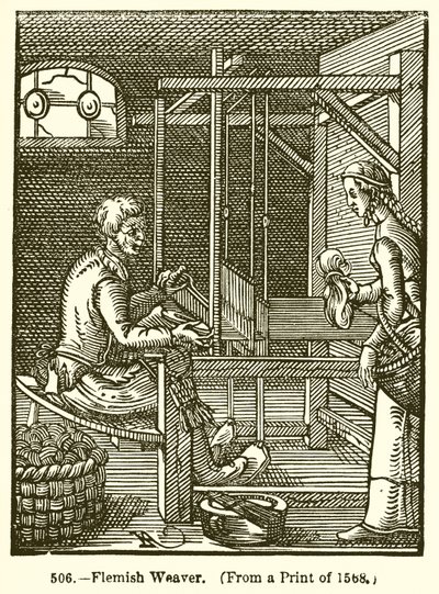 Vlámský tkadlec od English School