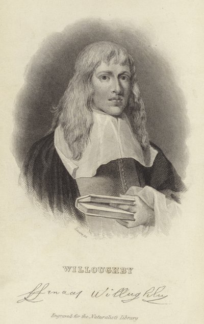 Francis Willughby od English School