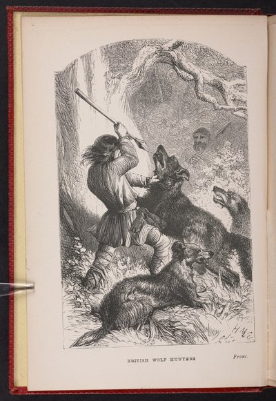 Frontispis od The British Wolf-Lunters. Pohádka atd. od Thomase Millera od English School