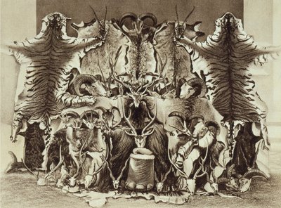 Frontispiece of Large Game Shooting v Tibetu, Himalájích a severní Indii od plukovníka Alexandra Kinlocha, vydáno 1885 od English School