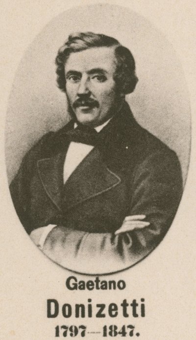 Gaetano Donizetti (hlubotisk) od English School