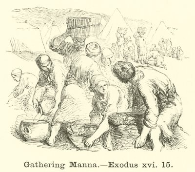 Shromažďování Manny, Exodus, xvi, 15 od English School