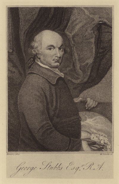 George Stubbs od English School