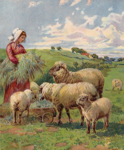 Dívka krmící ovce (barevná litografie) od English School