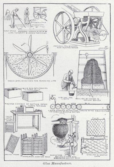 Výroba lepidla (litho) od English School