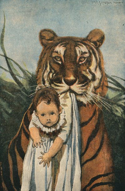 Good Tiger (barevná litografie) od English School