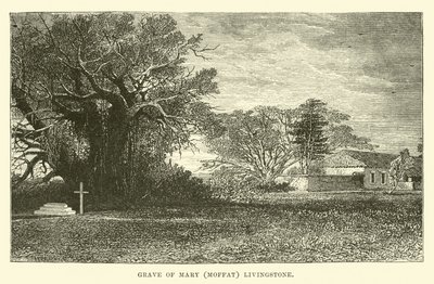 Hrob Marie (Moffat) Livingstone od English School