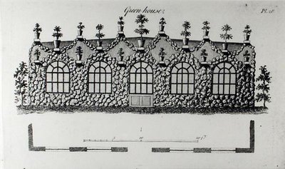 Skleník, z „Grotesque Architecture or Rural Amusement“ od Williama Wrighta, vydáno 1825 (rytina) (č/b foto) od English School