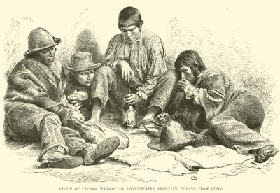 Skupina Indios Mansos neboli domestikovaných peruánských indiánů z Cuzca od English School