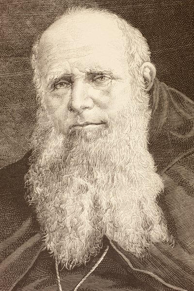 Guglielmo Massaia (litho) od English School