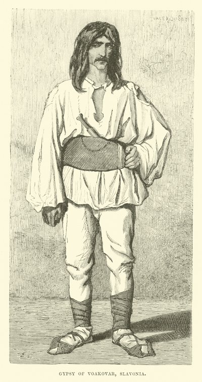 Cikán z Vukovaru, Slavonija od English School
