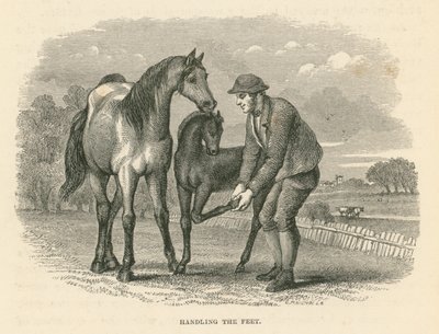 Die Füße handhaben (Gravur) von English School