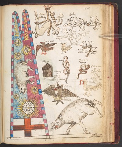 Harley 4632, f.242, prapor Richarda III. v Bosworthu, plus Yorkist sunburst (vellum) od English School