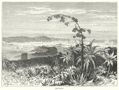 Havana (rytina) od English School