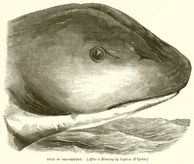 Hlava Sea-Serpent od English School